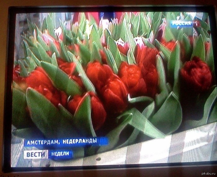 очепятки бывают у всех