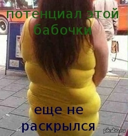 Бабочка | Пикабу