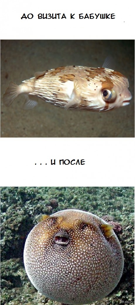 Добрая бабушка:)