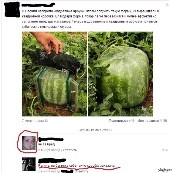 Коробка | Пикабу
