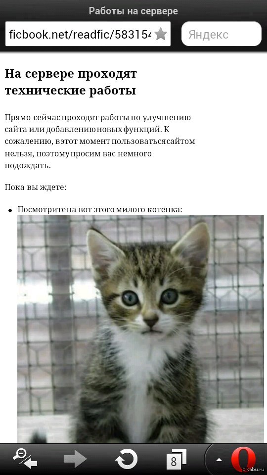 ������...���������� ���������� �� ������ ���� �������� ����������� ������)