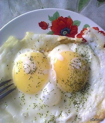 ��������� ���� ���������� ��������