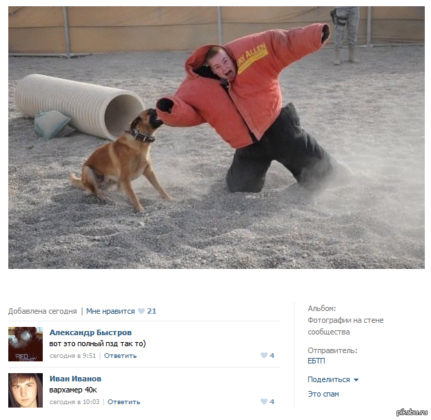 ��������� 40�