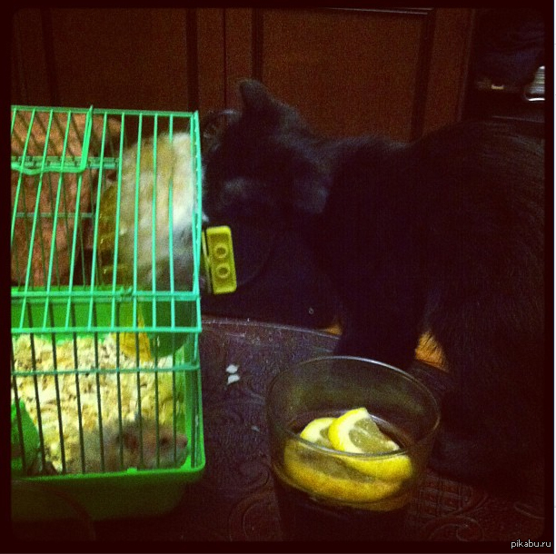 �����! ������ ���� �������� � ������� � ����, ����� ���� ����!