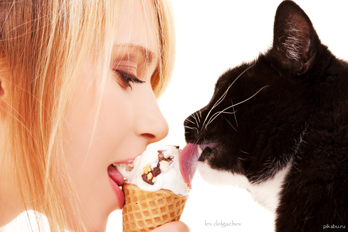 Стал слизывать. Котик ест мороженое. Кошка мороженое. Ест мороженое. Девочка облизывается.