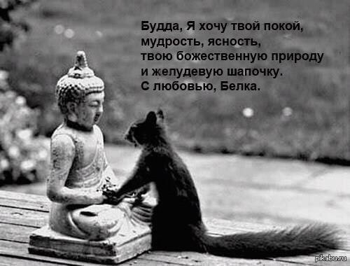 What else is needed for happiness? - Buddha, Squirrel