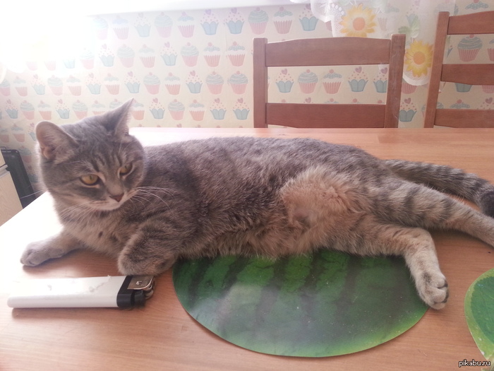 ���������� ������, ����������.