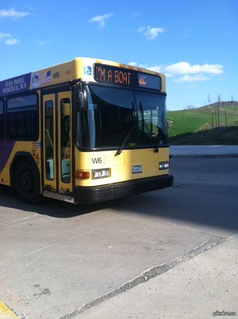 Иди домой,автобус,ты пьян.