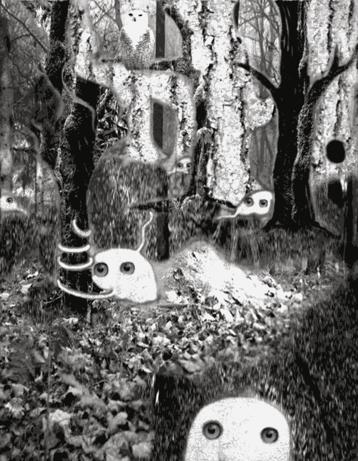 �� ������ ����� � ���