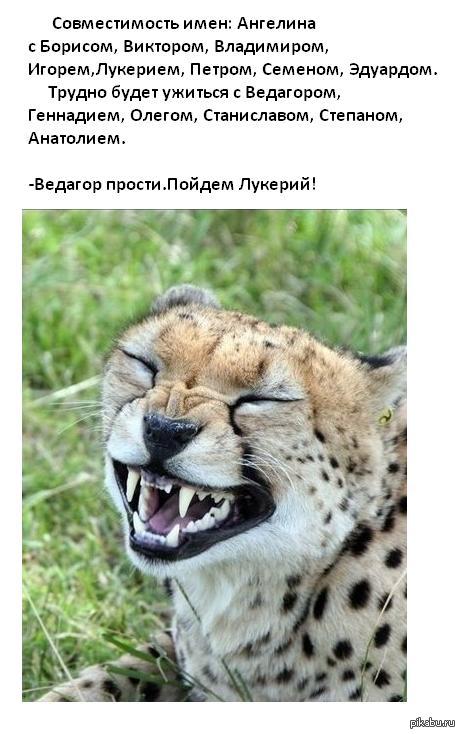 Совместимость имен порадовала... | Пикабу