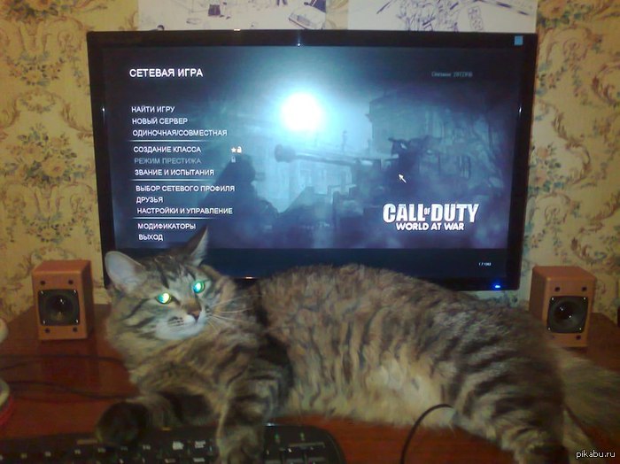   CoD 