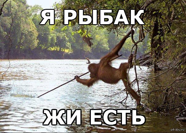 �����
