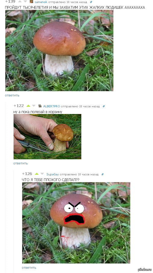 ������, ��������, �����.