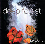 Deep Forest