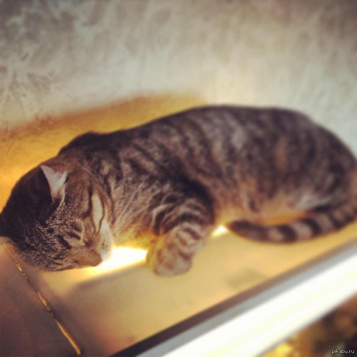 Безмятежность...