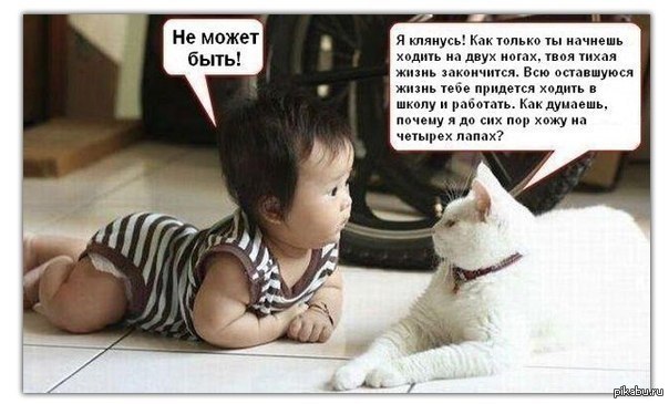 �� ����� ����!