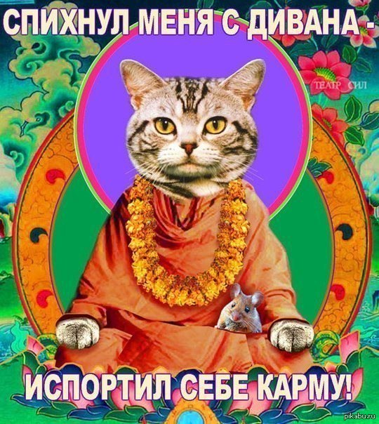 Карма | Пикабу