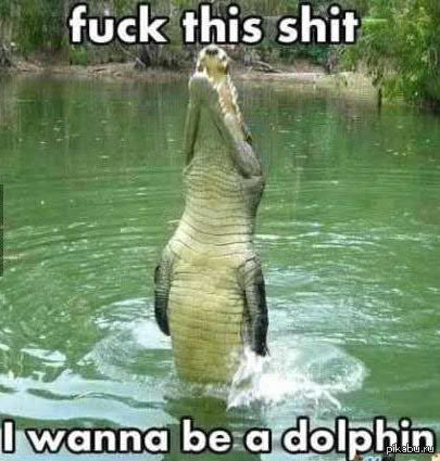 I wanna be a dolphin
