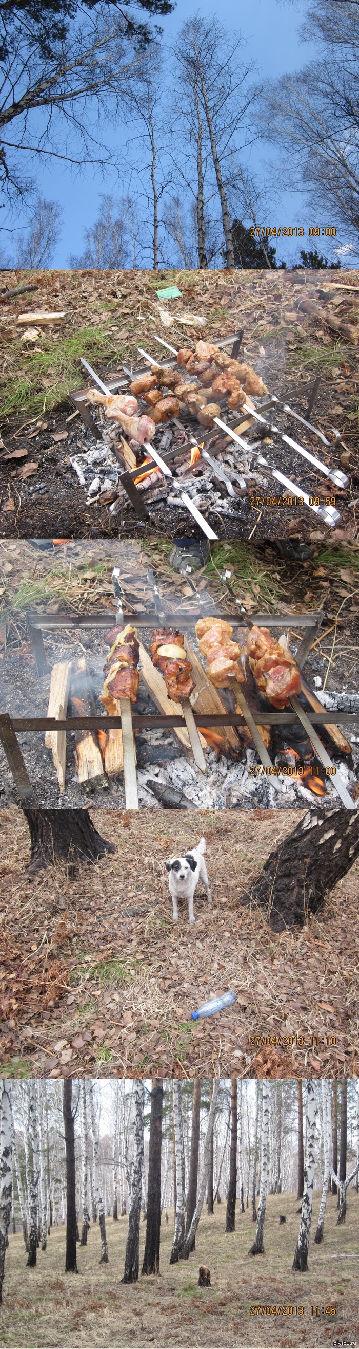 Мы в весеннем лесу...