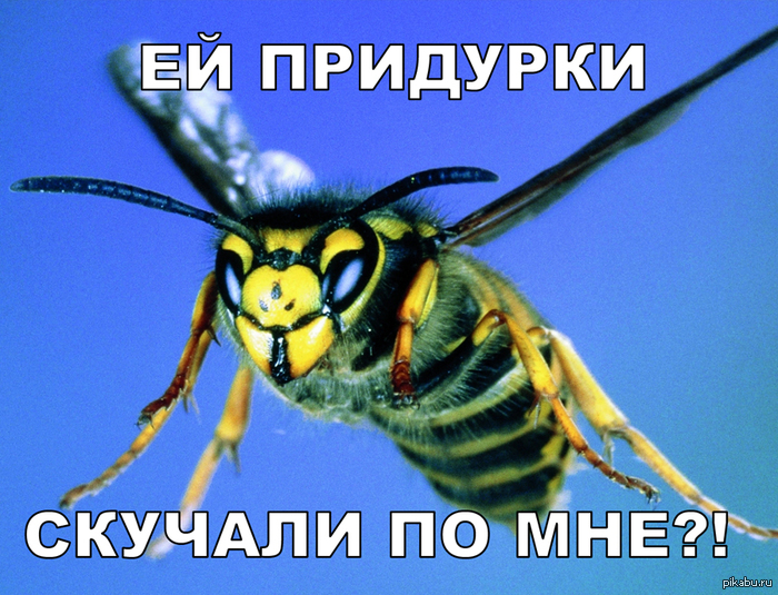 ��� ��� ������!