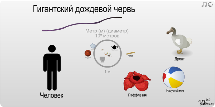     ,    15     http://gladweb.ru/files/shkala.swf   