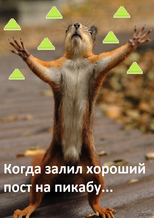 ������� ����
