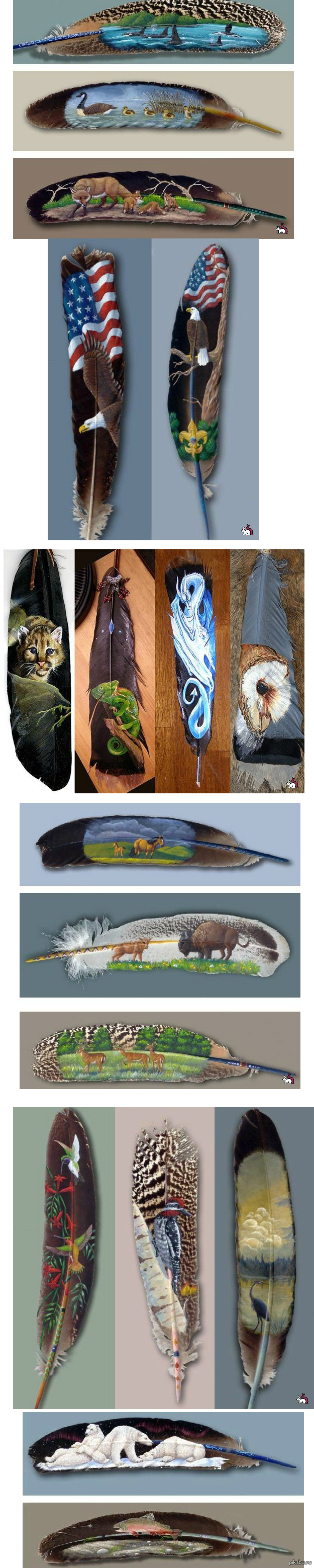 Всего лишь перья ....