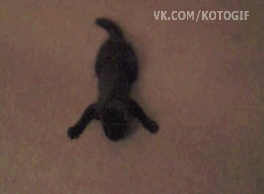 ��� ��������.