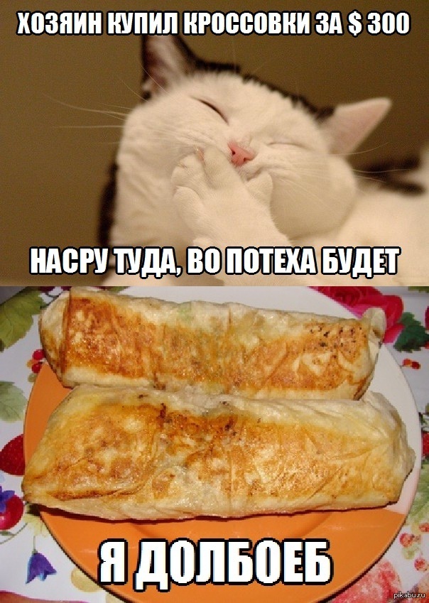 Кот шаурма рисунок