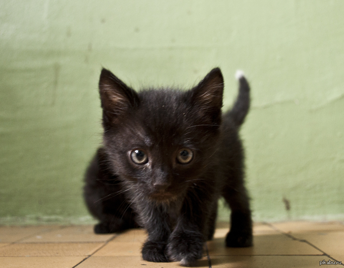 ������ � ������ ���� =) ������