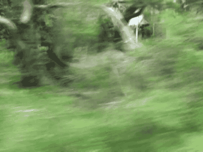 обычная пробежка...