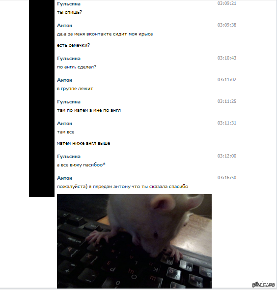 Я проснулся утром и обалдел