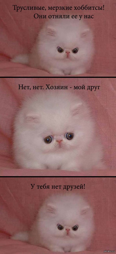 У каждого свой крест своя судьба. Но это не отнимает их. Но это не отнимает их. Они могут отнять наши жизни но они никогда не отнимут нашу свободу. Мой друг кот.