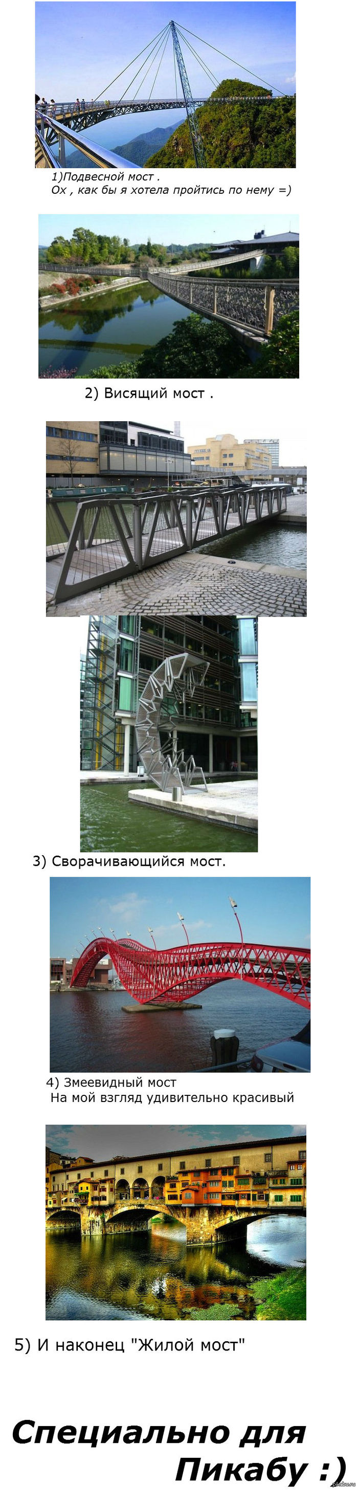 Подборка необычных мостов