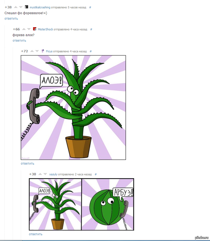 ������ ����