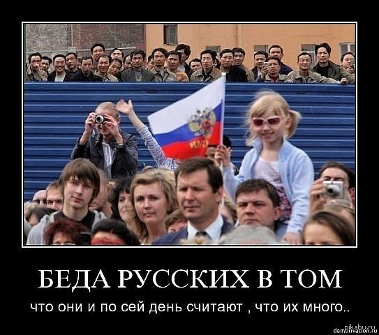 Беда | Пикабу