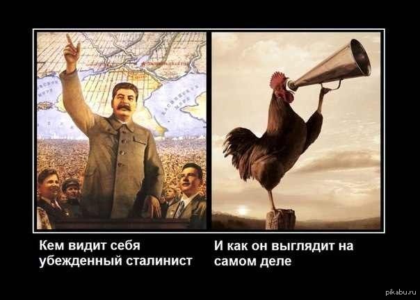 Заголовок