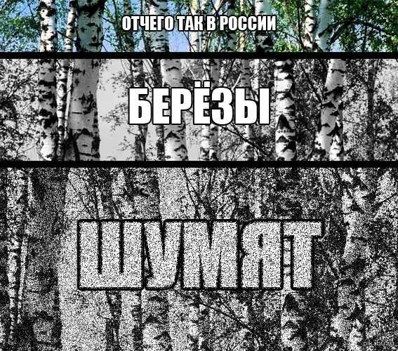 Отчего так березы. Отчего так в России березы шумят. Отчего ОАК В Росси берещы шумям. От чего так в России берёзы шумет. От чего берёзы шумят.