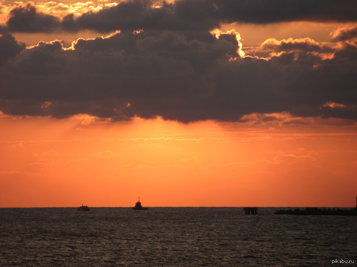 ��� ���� ������ �� ���� ��� ������