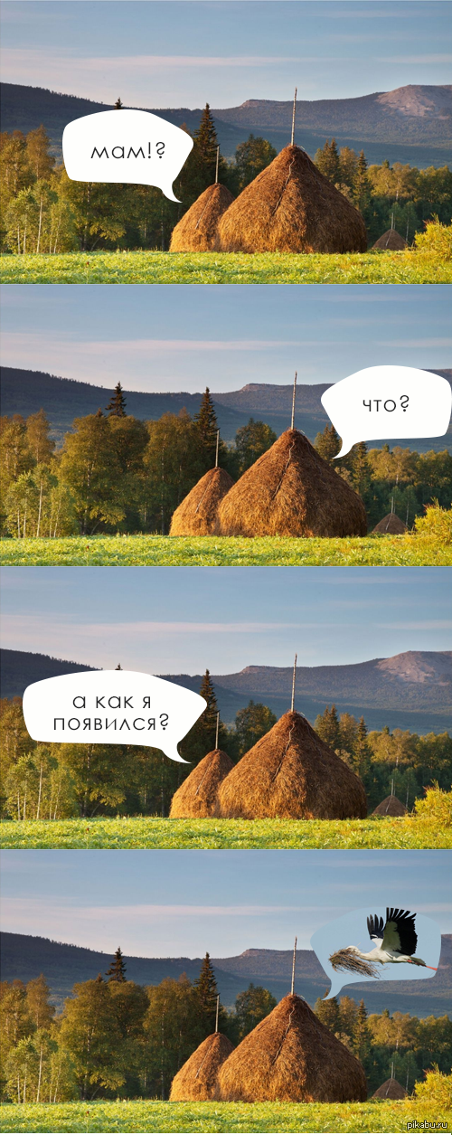 Откуда берется сено?