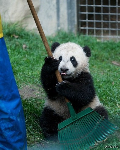 А вы готовы заниматься весенней уборкой?)