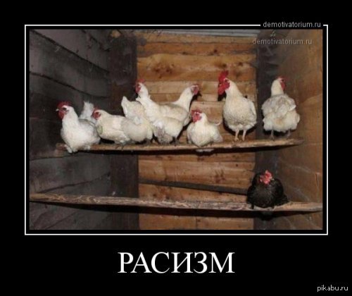 Расопост на Пикабу