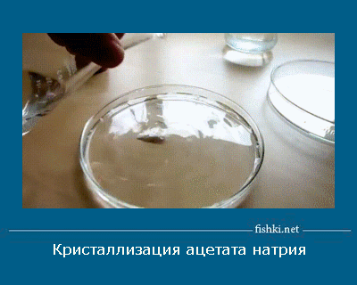 ������� �����:)