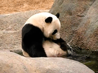 Искупаемся?)