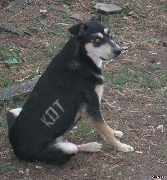 ,    ? 