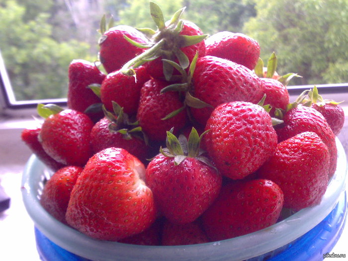 Strawberry 18+ - NSFW, My, Strawberry, Summer, Berries, Strawberry (plant)