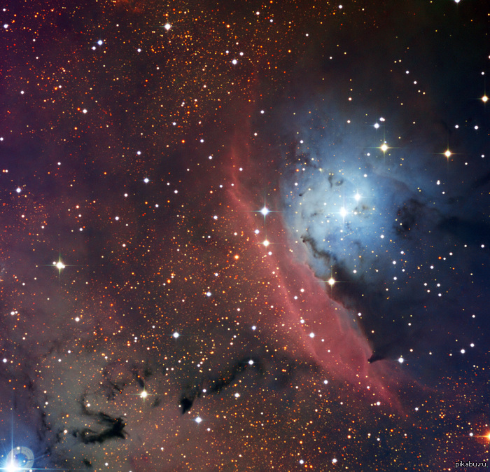    ... = ) -  NGC 6559   .