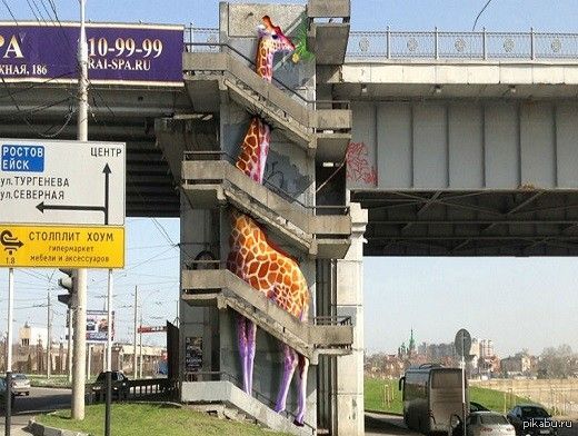 Северная тургенева. Жираф на мосту Краснодар. Жираф в Краснодаре. Фото граффити на домах Краснодар Жираф. Перевозка жирафа через мост.
