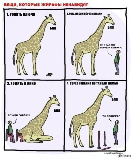 Вещи, которые жирафы ненавидят