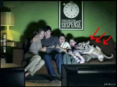 When the movie is really scary. - Interesting, Movies